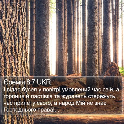 Єремія 8:7 UKR Bible Verse Image