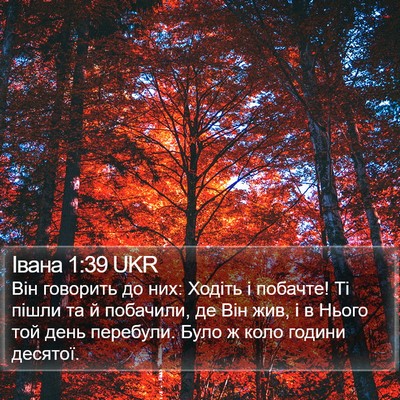 Івана 1:39 UKR Bible Verse Image