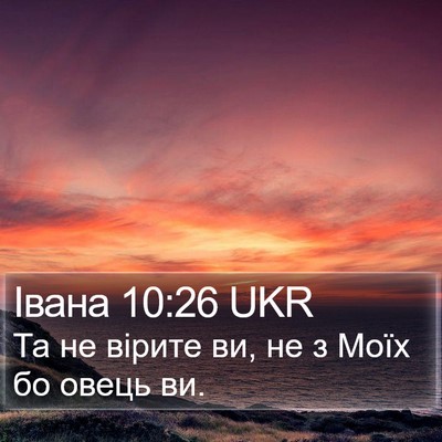 Івана 10:26 UKR Bible Verse Image
