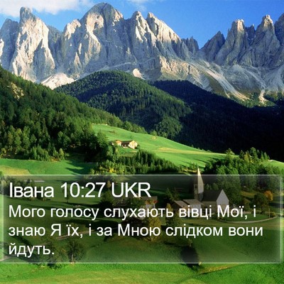 Івана 10:27 UKR Bible Verse Image