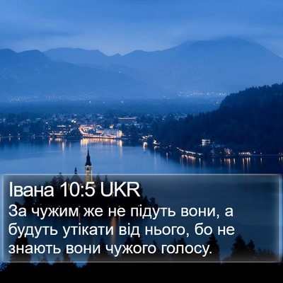 Івана 10:5 UKR Bible Verse Image