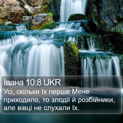 Івана 10:8 UKR Bible Verse Image