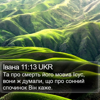 Івана 11:13 UKR Bible Verse Image