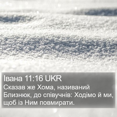 Івана 11:16 UKR Bible Verse Image
