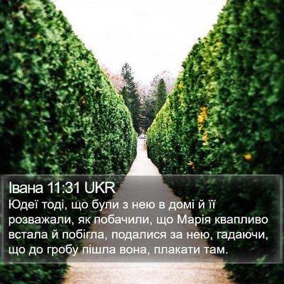 Івана 11:31 UKR Bible Verse Image
