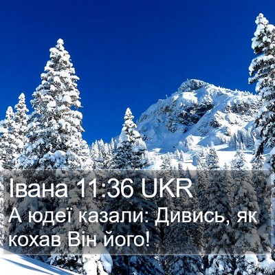 Івана 11:36 UKR Bible Verse Image