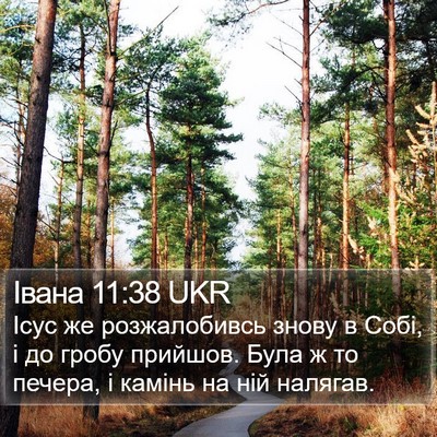 Івана 11:38 UKR Bible Verse Image