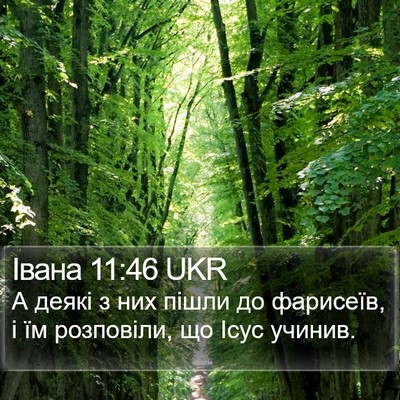 Івана 11:46 UKR Bible Verse Image