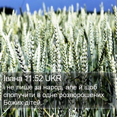 Івана 11:52 UKR Bible Verse Image