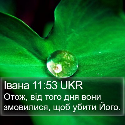 Івана 11:53 UKR Bible Verse Image