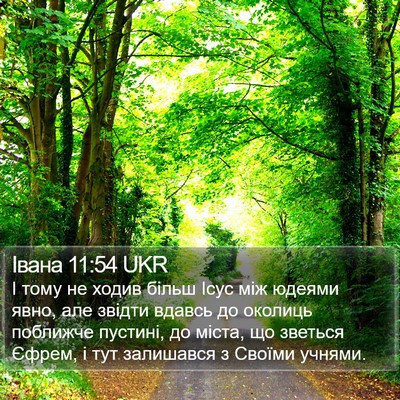 Івана 11:54 UKR Bible Verse Image