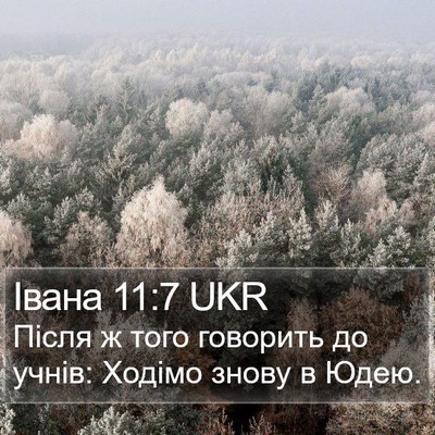 Івана 11:7 UKR Bible Verse Image