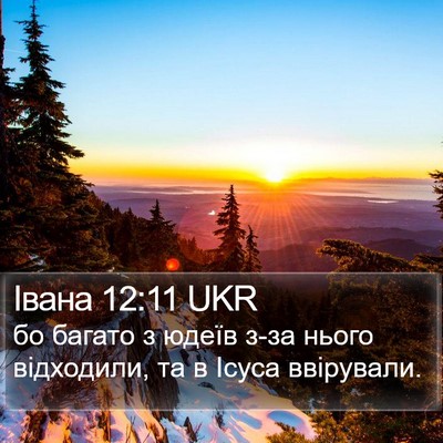 Івана 12:11 UKR Bible Verse Image