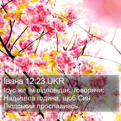 Івана 12:23 UKR Bible Verse Image