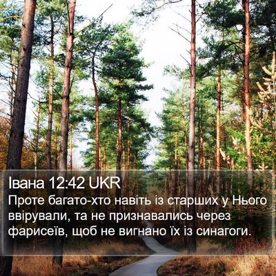 Івана 12:42 UKR Bible Verse Image