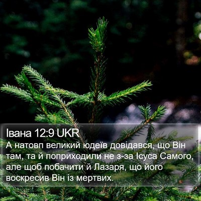 Івана 12:9 UKR Bible Verse Image