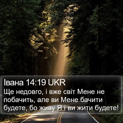 Івана 14:19 UKR Bible Verse Image