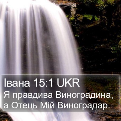 Івана 15:1 UKR Bible Verse Image