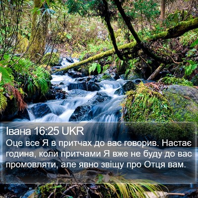 Івана 16:25 UKR Bible Verse Image