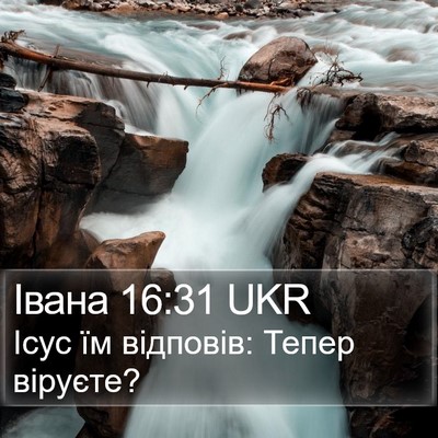Івана 16:31 UKR Bible Verse Image