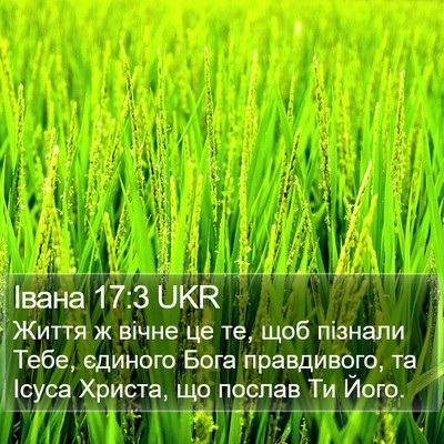 Івана 17:3 UKR Bible Verse Image
