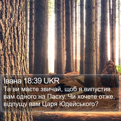 Івана 18:39 UKR Bible Verse Image