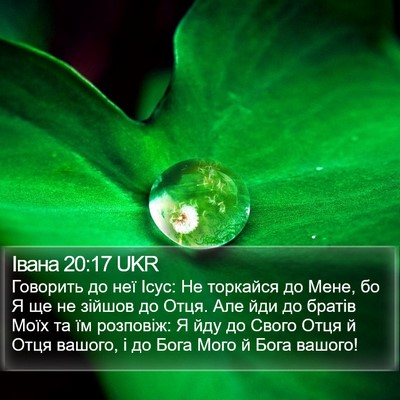 Івана 20:17 UKR Bible Verse Image