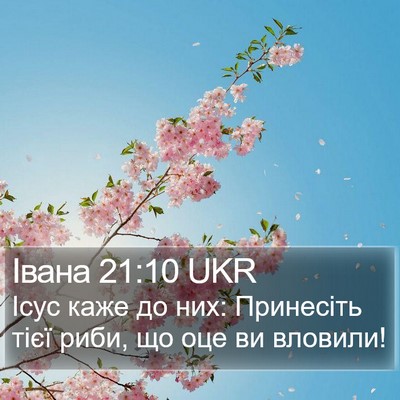 Івана 21:10 UKR Bible Verse Image