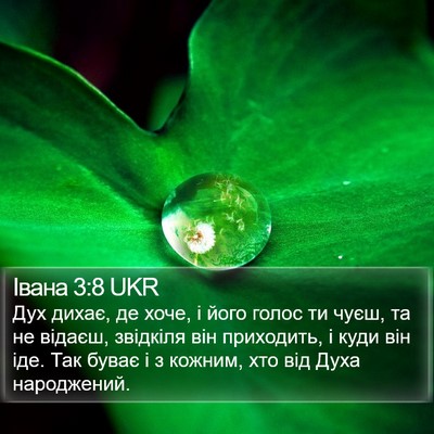 Івана 3:8 UKR Bible Verse Image
