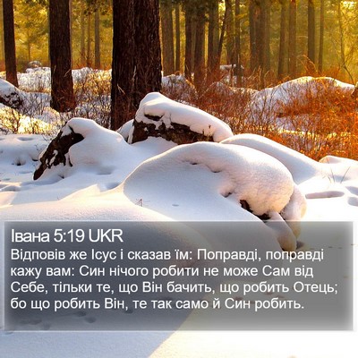 Івана 5:19 UKR Bible Verse Image