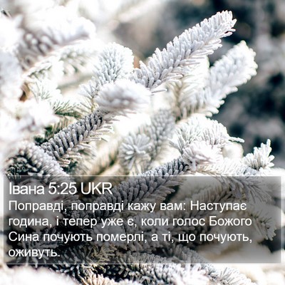 Івана 5:25 UKR Bible Verse Image