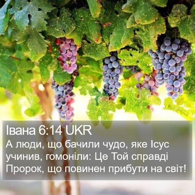 Івана 6:14 UKR Bible Verse Image