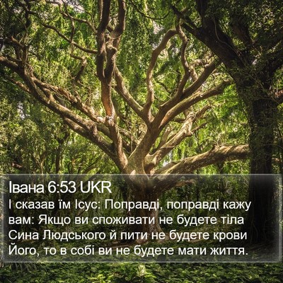Івана 6:53 UKR Bible Verse Image