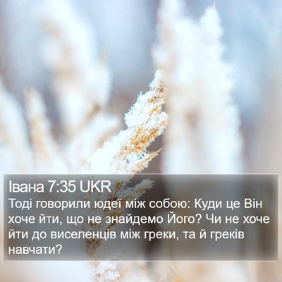 Івана 7:35 UKR Bible Verse Image