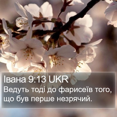Івана 9:13 UKR Bible Verse Image