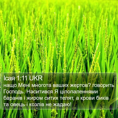 Ісая 1:11 UKR Bible Verse Image