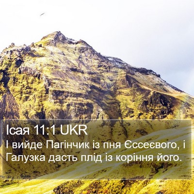 Ісая 11:1 UKR Bible Verse Image