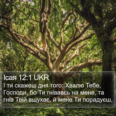 Ісая 12:1 UKR Bible Verse Image