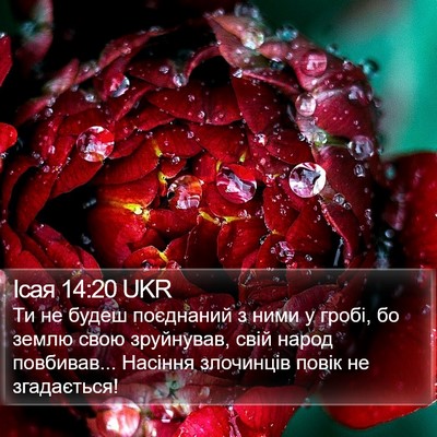 Ісая 14:20 UKR Bible Verse Image