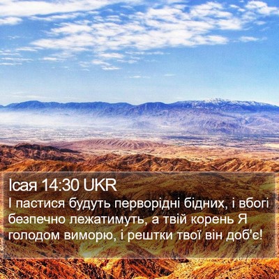 Ісая 14:30 UKR Bible Verse Image