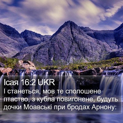 Ісая 16:2 UKR Bible Verse Image