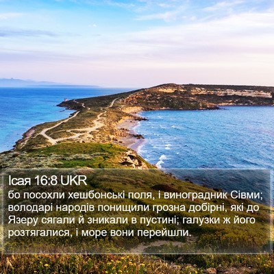 Ісая 16:8 UKR Bible Verse Image