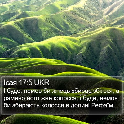 Ісая 17:5 UKR Bible Verse Image