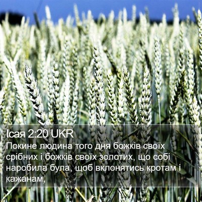 Ісая 2:20 UKR Bible Verse Image