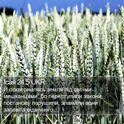 Ісая 24:5 UKR Bible Verse Image
