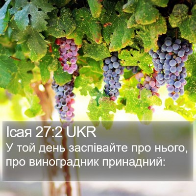Ісая 27:2 UKR Bible Verse Image