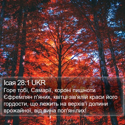 Ісая 28:1 UKR Bible Verse Image