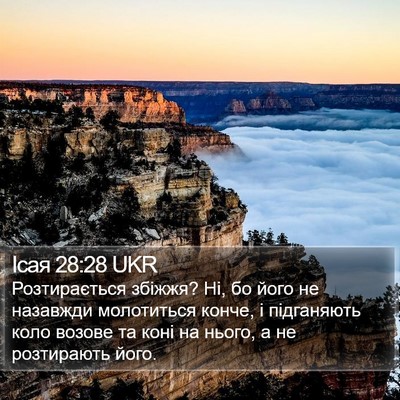 Ісая 28:28 UKR Bible Verse Image