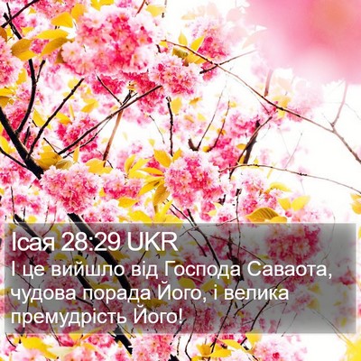 Ісая 28:29 UKR Bible Verse Image