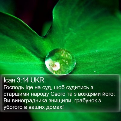 Ісая 3:14 UKR Bible Verse Image